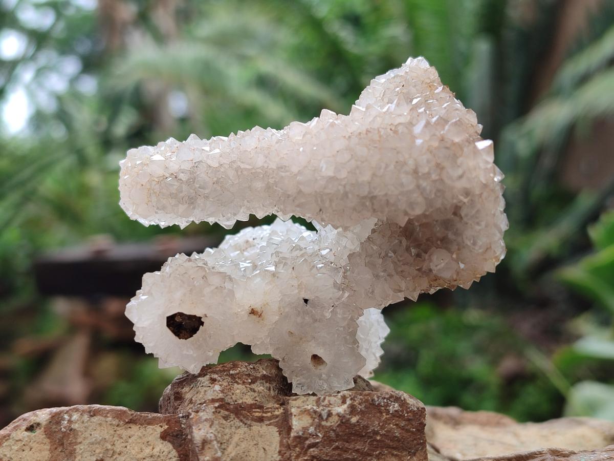 Natural Drusy Snow Finger Quartz Coated Clusters x 12 From Albert's Mountain, Lesotho - Toprock Gemstones and Minerals 
