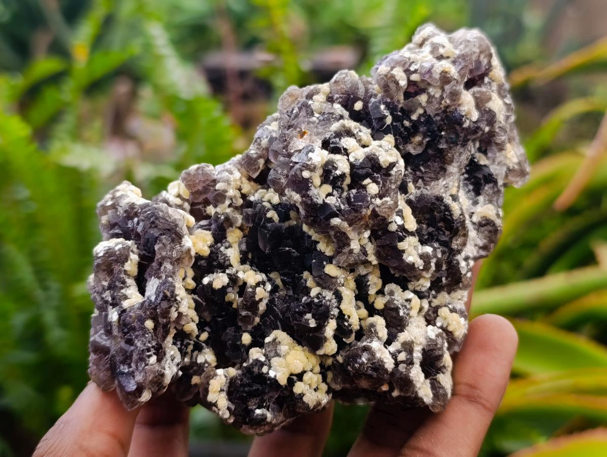 Natural Smokey Fluorite with yellow Muscovite Mica specimens x 3 From Erongo, Namibia - Toprock Gemstones and Minerals 