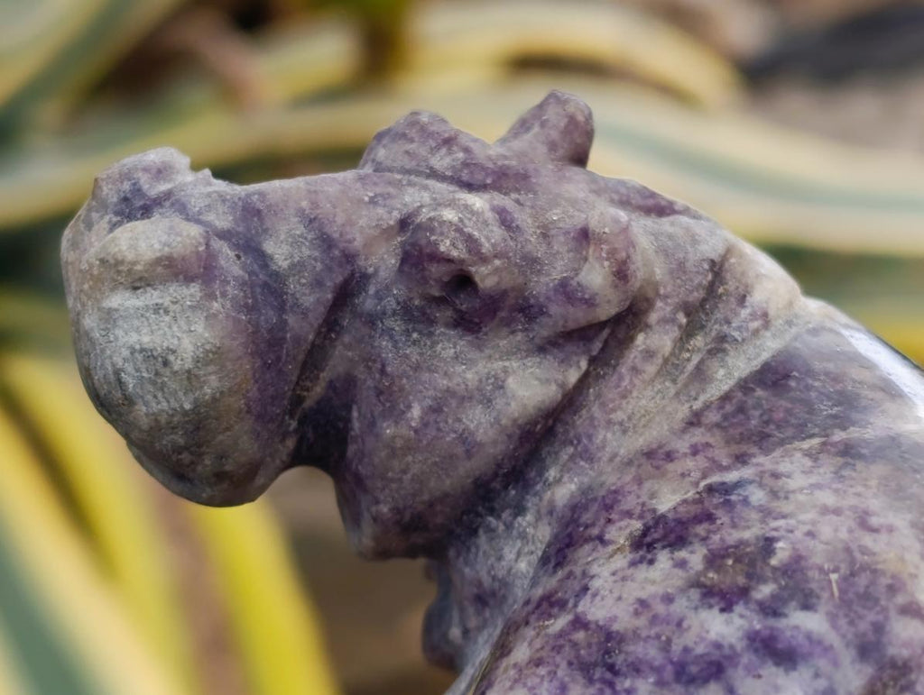 Hand Made Lepidolite and Leopard Stone Hippo Carvings x 2 From Zimbabwe - Toprock Gemstones and Minerals 