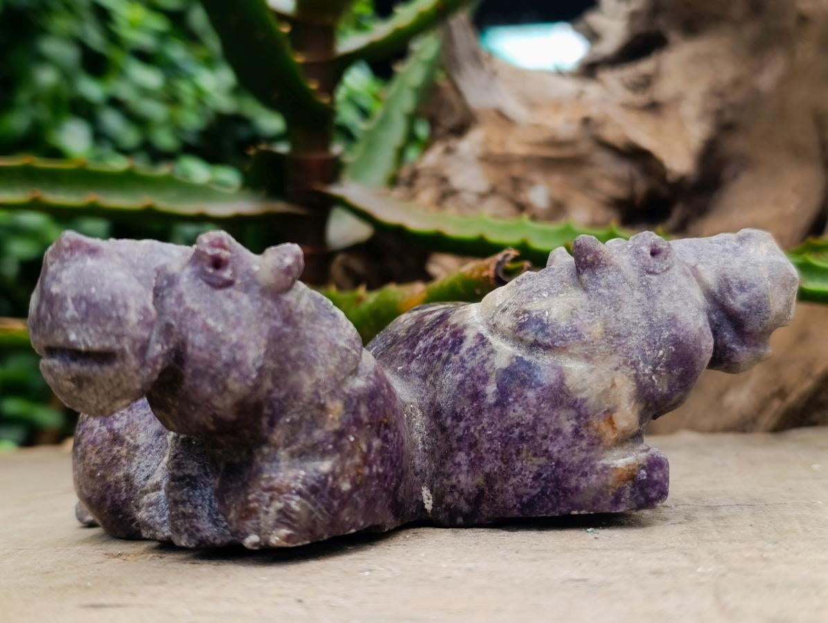 Hand Made Lepidolite and Leopard Stone Hippo Carvings x 2 From Zimbabwe - Toprock Gemstones and Minerals 
