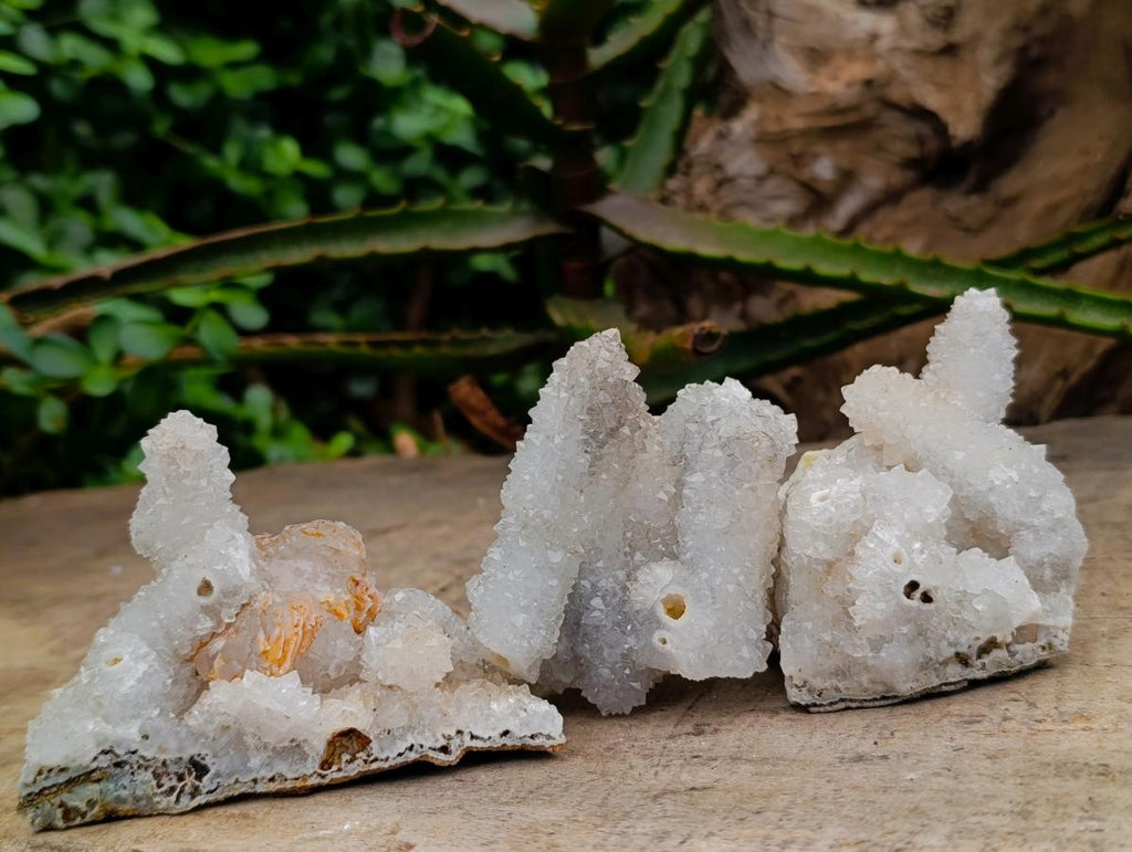 Natural Drusy Snow Finger Clusters x 12 From Albert's Mountain, Lesotho - Toprock Gemstones and Minerals 