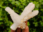 Natural Drusy Snow Finger Clusters x 12 From Albert's Mountain, Lesotho - Toprock Gemstones and Minerals 