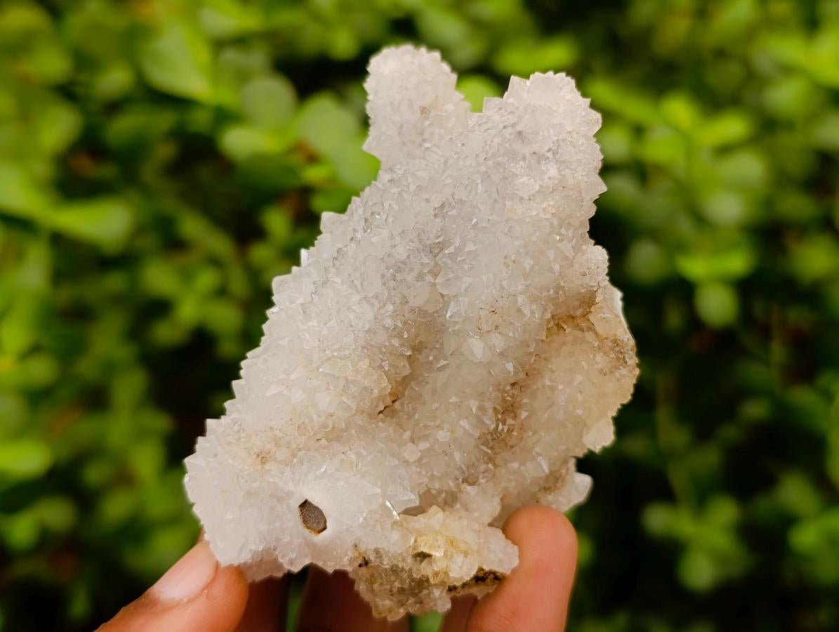 Natural Drusy Snow Finger Clusters x 12 From Albert's Mountain, Lesotho - Toprock Gemstones and Minerals 