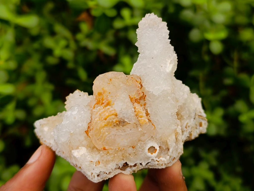 Natural Drusy Snow Finger Clusters x 12 From Albert's Mountain, Lesotho - Toprock Gemstones and Minerals 