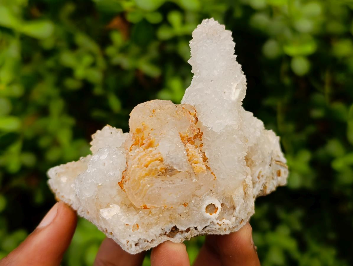 Natural Drusy Snow Finger Clusters x 12 From Albert's Mountain, Lesotho - Toprock Gemstones and Minerals 