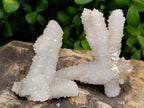Natural Drusy Snow Finger Clusters x 12 From Albert's Mountain, Lesotho - Toprock Gemstones and Minerals 