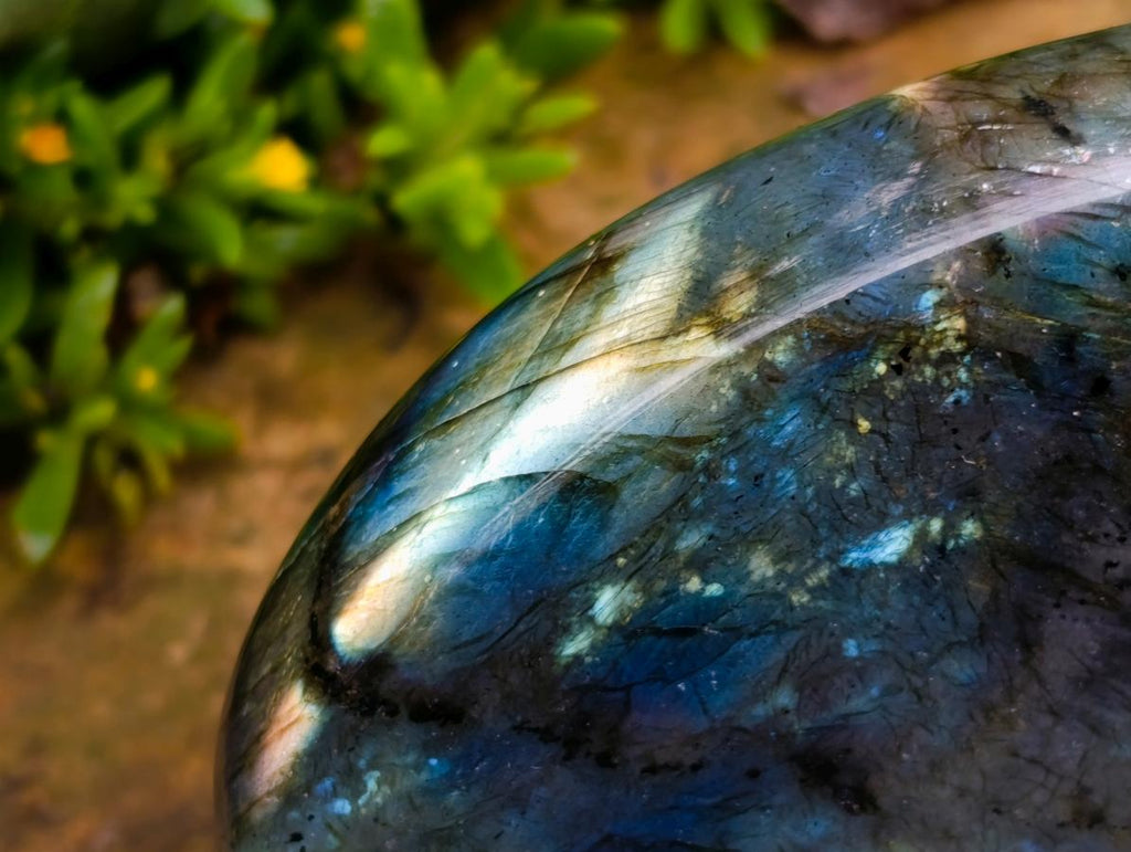 Polished Labradorite Standing Free Forms x 2 From Madagascar - Toprock Gemstones and Minerals 