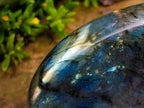 Polished Labradorite Standing Free Forms x 2 From Madagascar - Toprock Gemstones and Minerals 