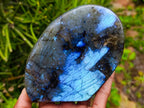 Polished Labradorite Standing Free Forms x 2 From Madagascar - Toprock Gemstones and Minerals 