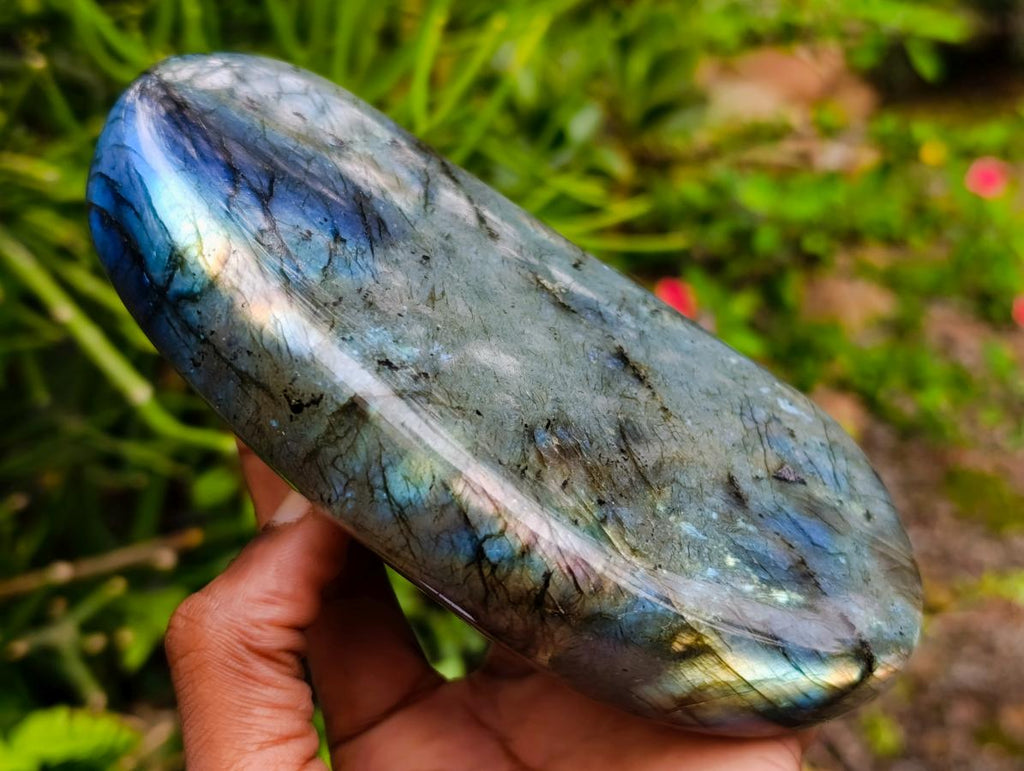 Polished Labradorite Standing Free Forms x 2 From Madagascar - Toprock Gemstones and Minerals 