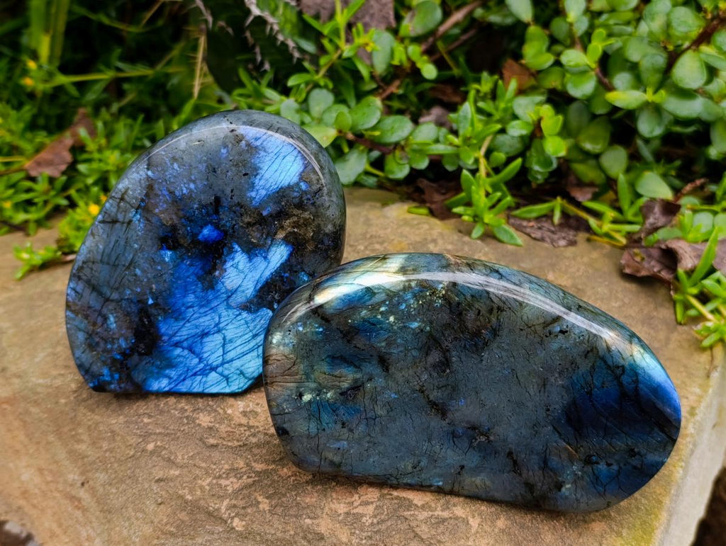 Polished Labradorite Standing Free Forms x 2 From Madagascar - Toprock Gemstones and Minerals 