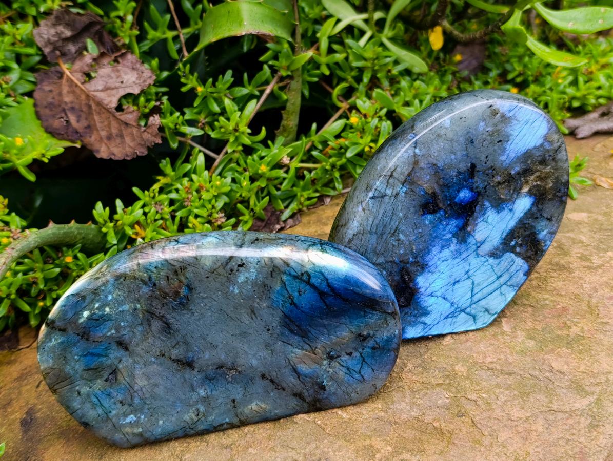 Polished Labradorite Standing Free Forms x 2 From Madagascar - Toprock Gemstones and Minerals 