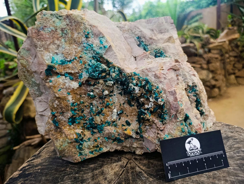 Natural Large Dioptase Specimen x 1 From Kaokoveld Namibia - Toprock Gemstones and Minerals 