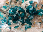 Natural Large Dioptase Specimen x 1 From Kaokoveld Namibia - Toprock Gemstones and Minerals 