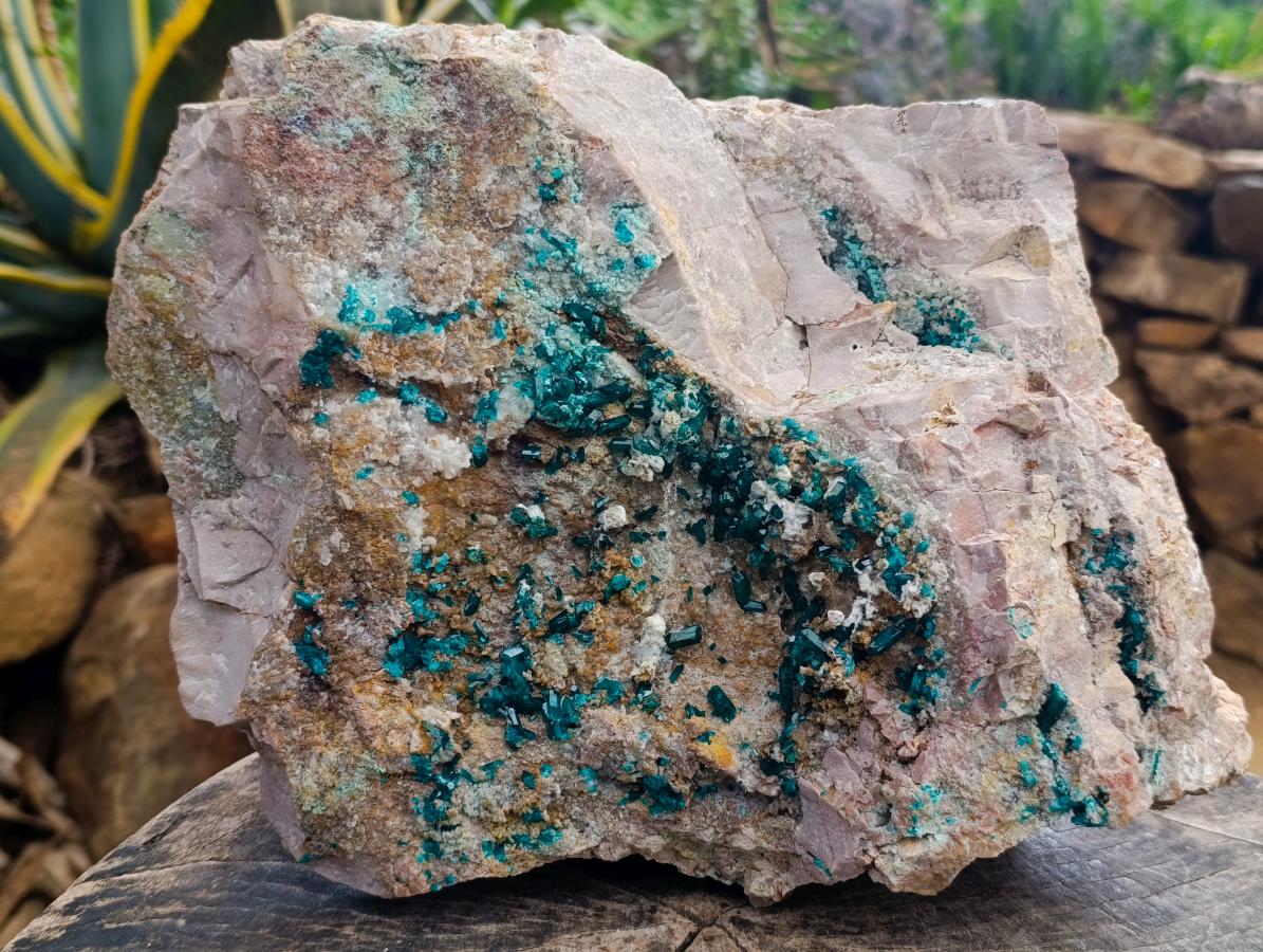 Natural Large Dioptase Specimen x 1 From Kaokoveld Namibia - Toprock Gemstones and Minerals 