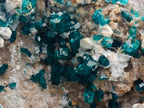 Natural Large Dioptase Specimen x 1 From Kaokoveld Namibia - Toprock Gemstones and Minerals 