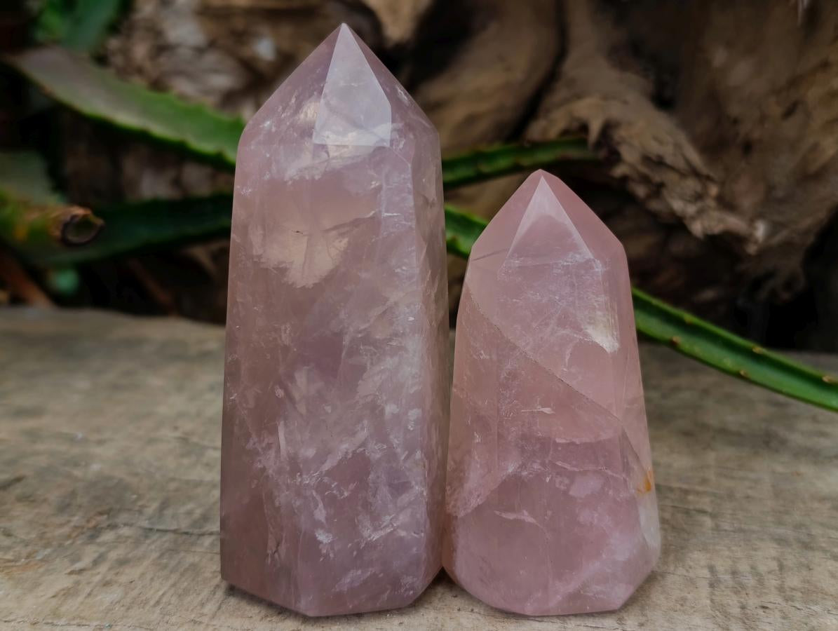 Polished Gemmy Rose Quartz Crystals x 12 From Madagascar - Toprock Gemstones and Minerals 