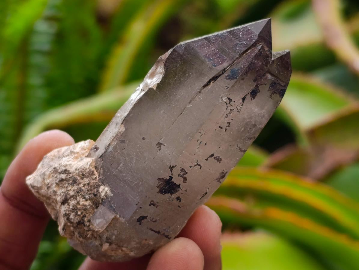 Natural Smokey Quartz Crystals x 24 From Mulanje, Malawi - Toprock Gemstones and Minerals 