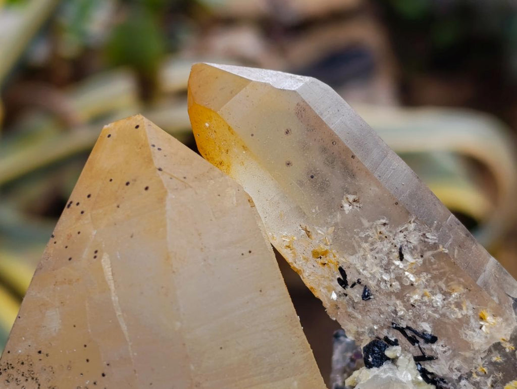 Natural Smokey Quartz Crystals with Schorl, Feldspar and Hyalite Opal x 2 From Erongo, Namibia - Toprock Gemstones and Minerals 