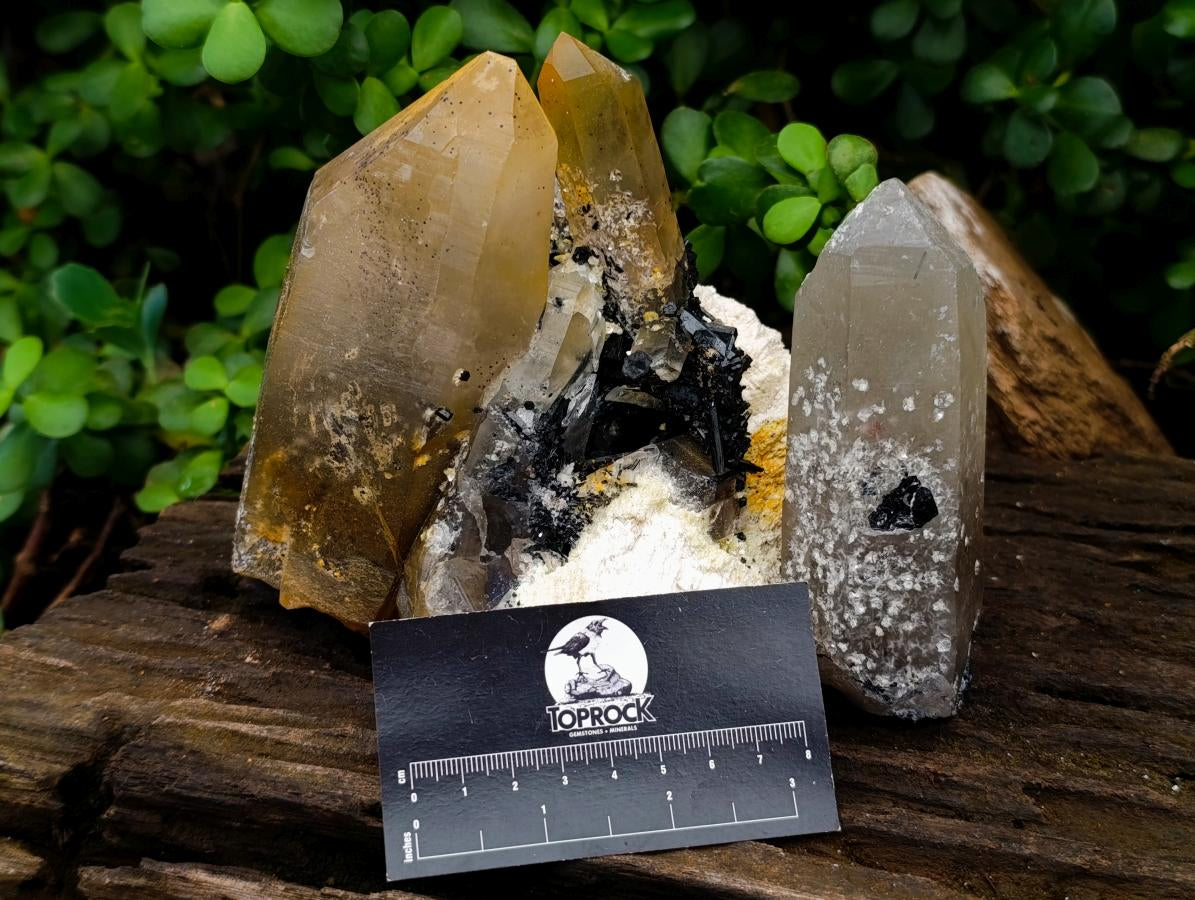 Natural Smokey Quartz Crystals with Schorl, Feldspar and Hyalite Opal x 2 From Erongo, Namibia - Toprock Gemstones and Minerals 