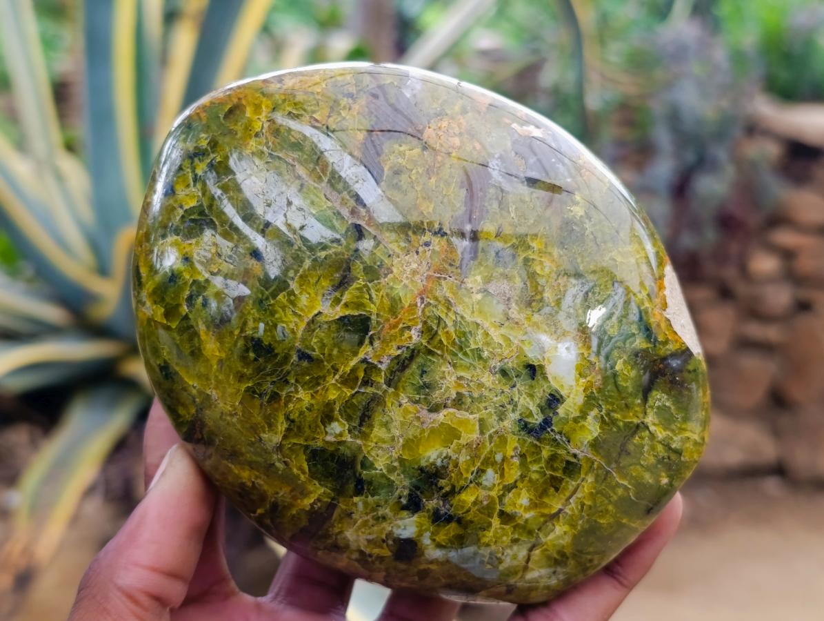 Polished Green Opal Standing Free Form x 2 From Betroka, Madagascar - Toprock Gemstones and Minerals 