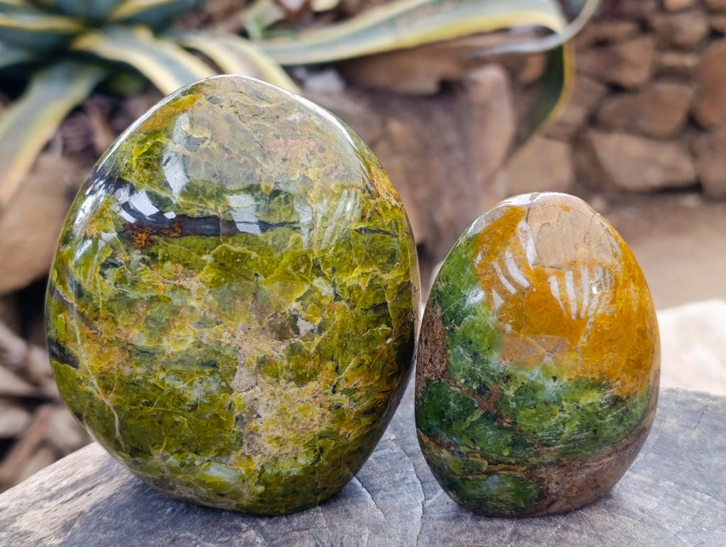 Polished Green Opal Standing Free Form x 2 From Betroka, Madagascar - Toprock Gemstones and Minerals 