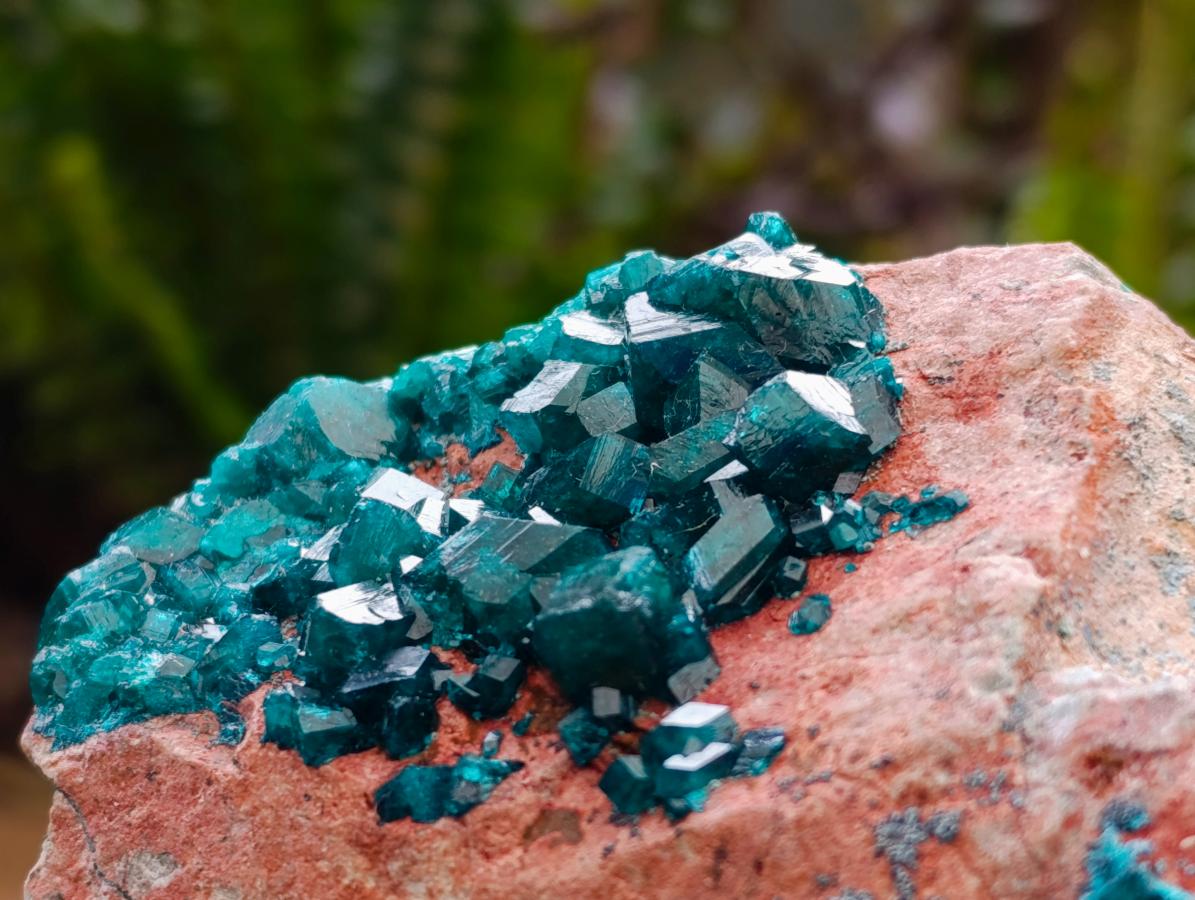 Natural Dioptase on Dolomite Specimen with Shattuckite x 1 From Likasi, Congo - Toprock Gemstones and Minerals 
