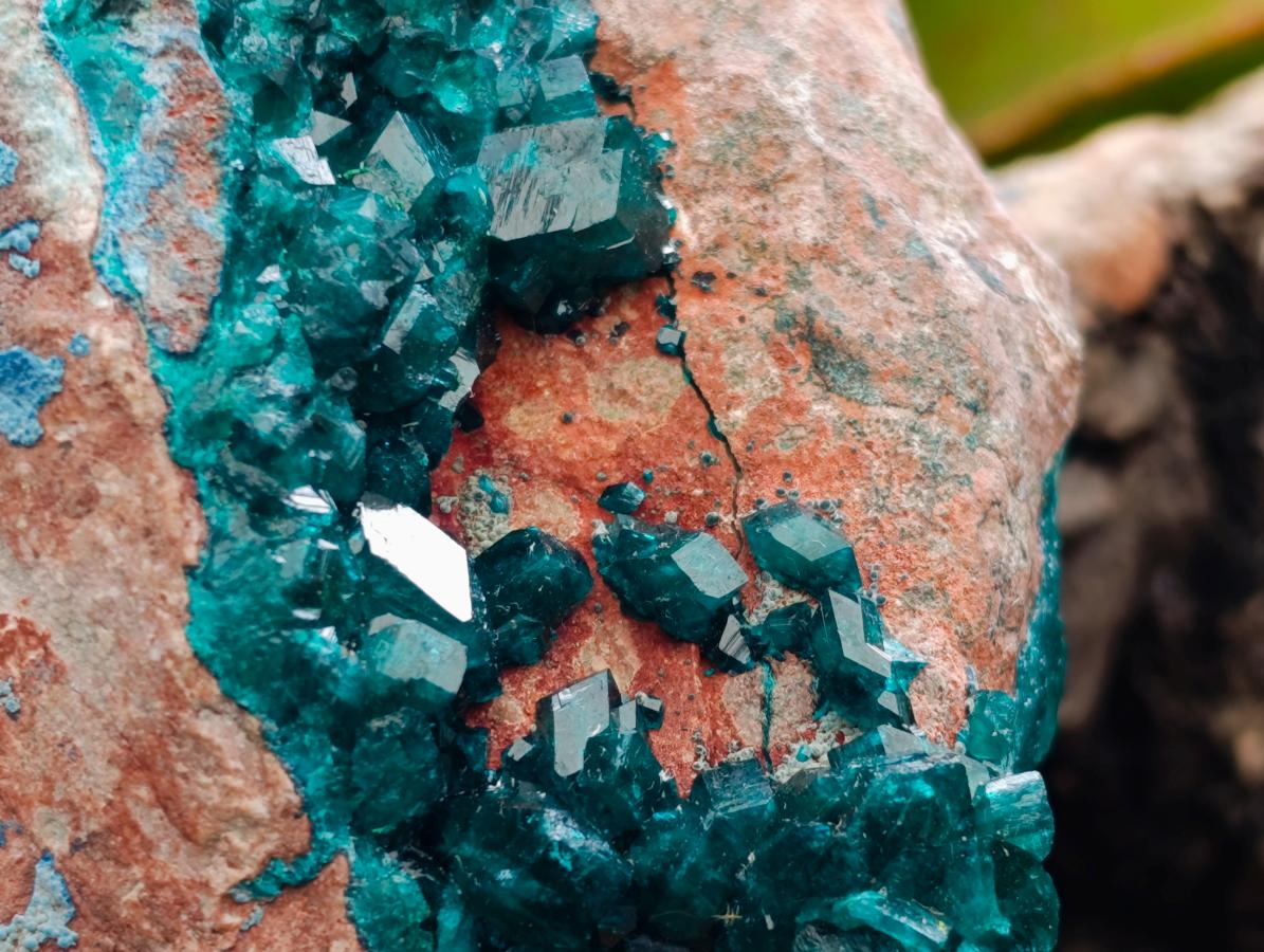 Natural Dioptase on Dolomite Specimen with Shattuckite x 1 From Likasi, Congo - Toprock Gemstones and Minerals 