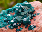 Natural Dioptase on Dolomite Specimen with Shattuckite x 1 From Likasi, Congo - Toprock Gemstones and Minerals 