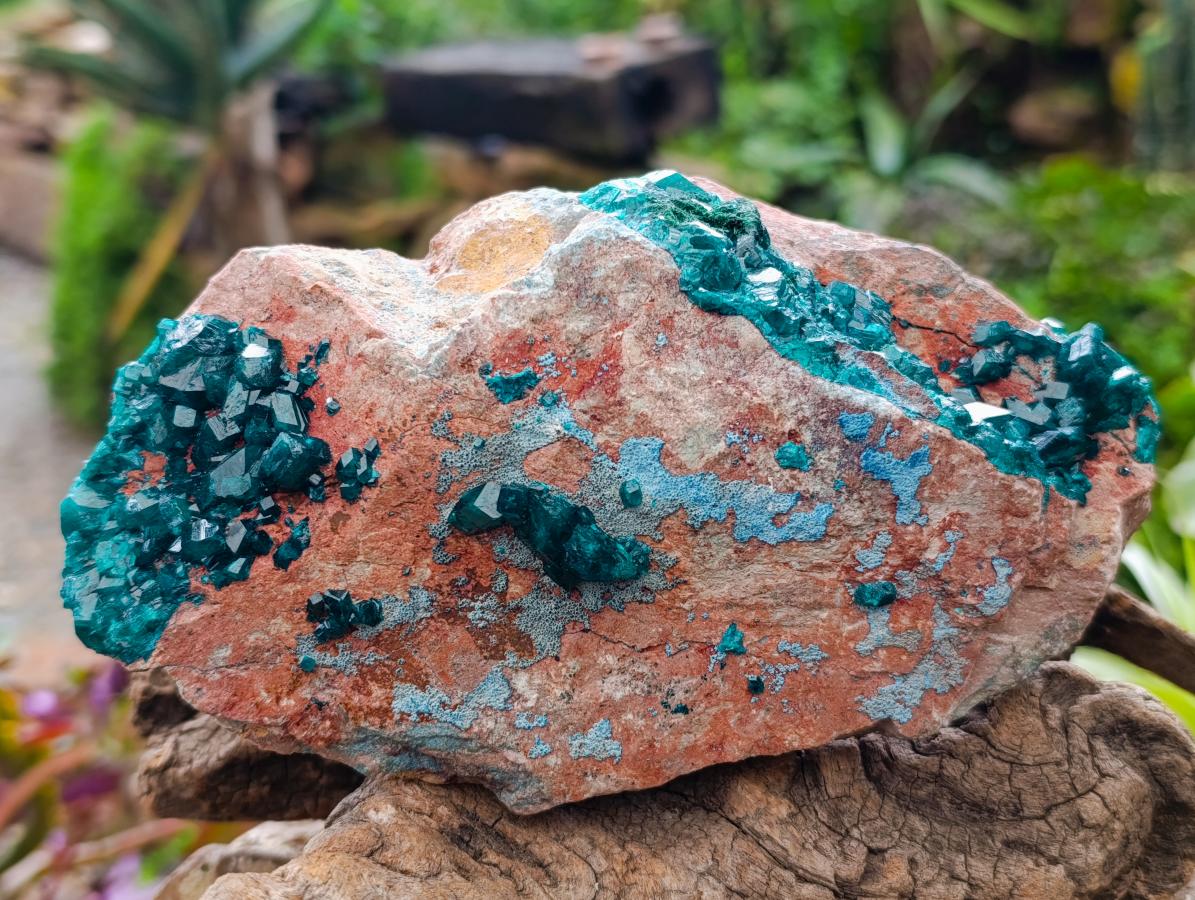 Natural Dioptase on Dolomite Specimen with Shattuckite x 1 From Likasi, Congo - Toprock Gemstones and Minerals 