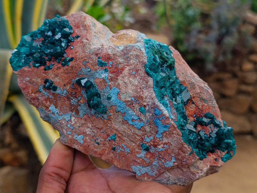 Natural Dioptase on Dolomite Specimen with Shattuckite x 1 From Likasi, Congo - Toprock Gemstones and Minerals 