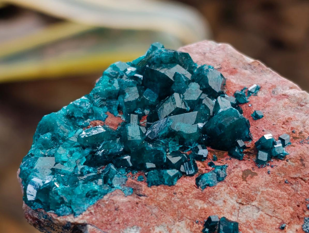 Natural Dioptase on Dolomite Specimen with Shattuckite x 1 From Likasi, Congo - Toprock Gemstones and Minerals 