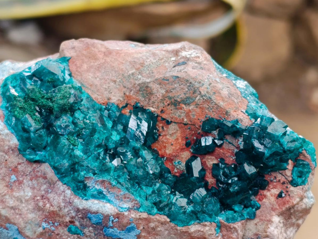 Natural Dioptase on Dolomite Specimen with Shattuckite x 1 From Likasi, Congo - Toprock Gemstones and Minerals 