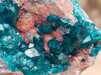 Natural Dioptase on Dolomite Specimen with Shattuckite x 1 From Likasi, Congo - Toprock Gemstones and Minerals 