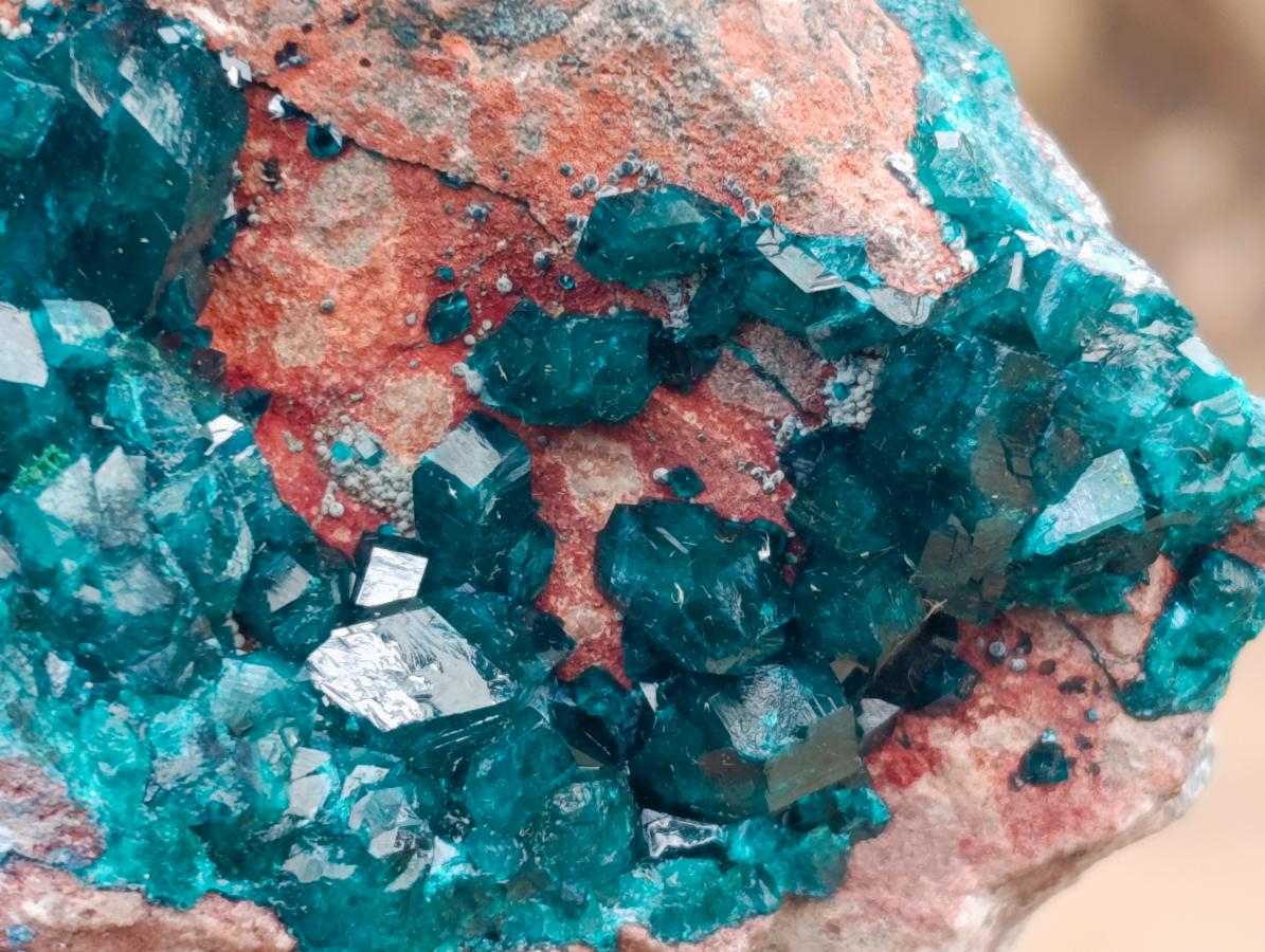 Natural Dioptase on Dolomite Specimen with Shattuckite x 1 From Likasi, Congo - Toprock Gemstones and Minerals 