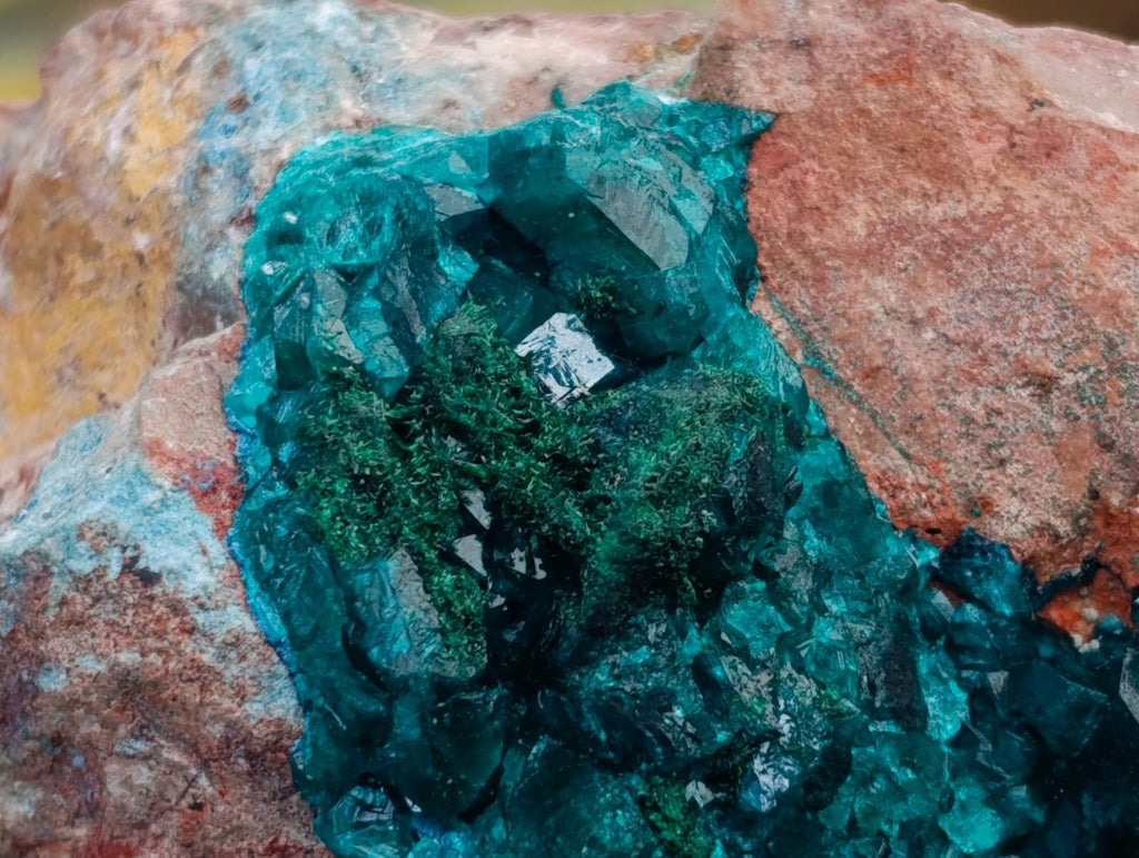 Natural Dioptase on Dolomite Specimen with Shattuckite x 1 From Likasi, Congo - Toprock Gemstones and Minerals 