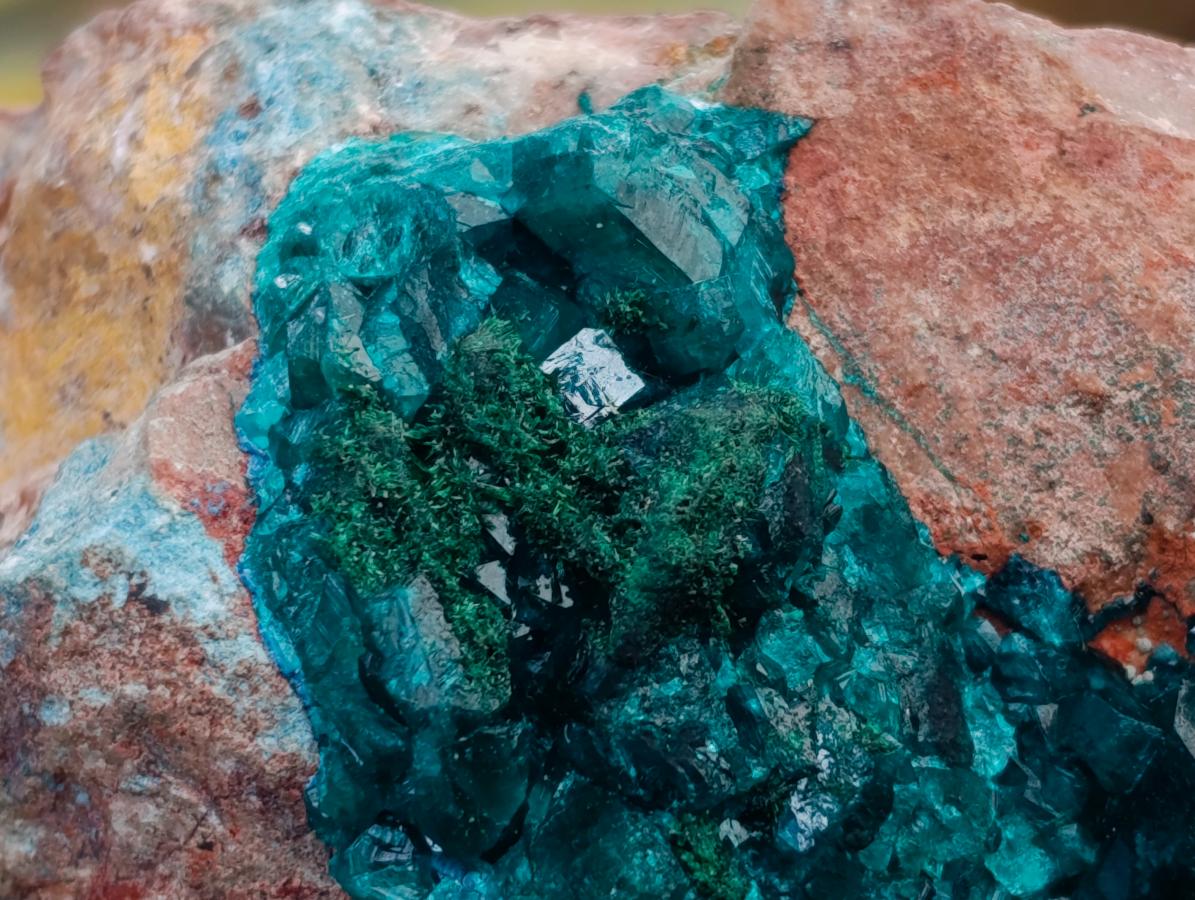 Natural Dioptase on Dolomite Specimen with Shattuckite x 1 From Likasi, Congo - Toprock Gemstones and Minerals 