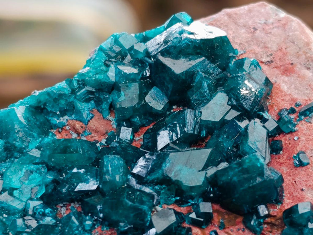 Natural Dioptase on Dolomite Specimen with Shattuckite x 1 From Likasi, Congo - Toprock Gemstones and Minerals 