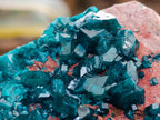 Natural Dioptase on Dolomite Specimen with Shattuckite x 1 From Likasi, Congo - Toprock Gemstones and Minerals 