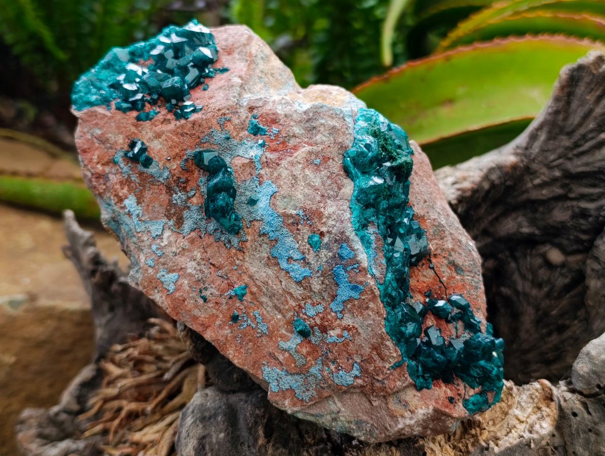 Natural Dioptase on Dolomite Specimen with Shattuckite x 1 From Likasi, Congo - Toprock Gemstones and Minerals 