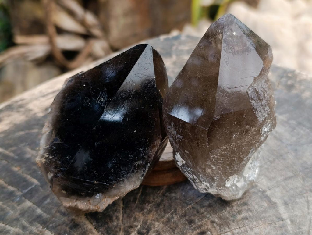 Natural Smokey Quartz Crystals x 6 From Erongo, Namibia - Toprock Gemstones and Minerals 