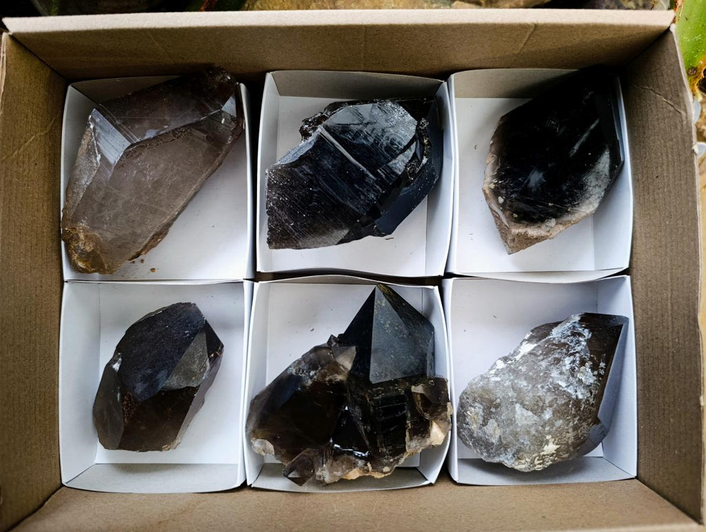 Natural Smokey Quartz Crystals x 6 From Erongo, Namibia - Toprock Gemstones and Minerals 