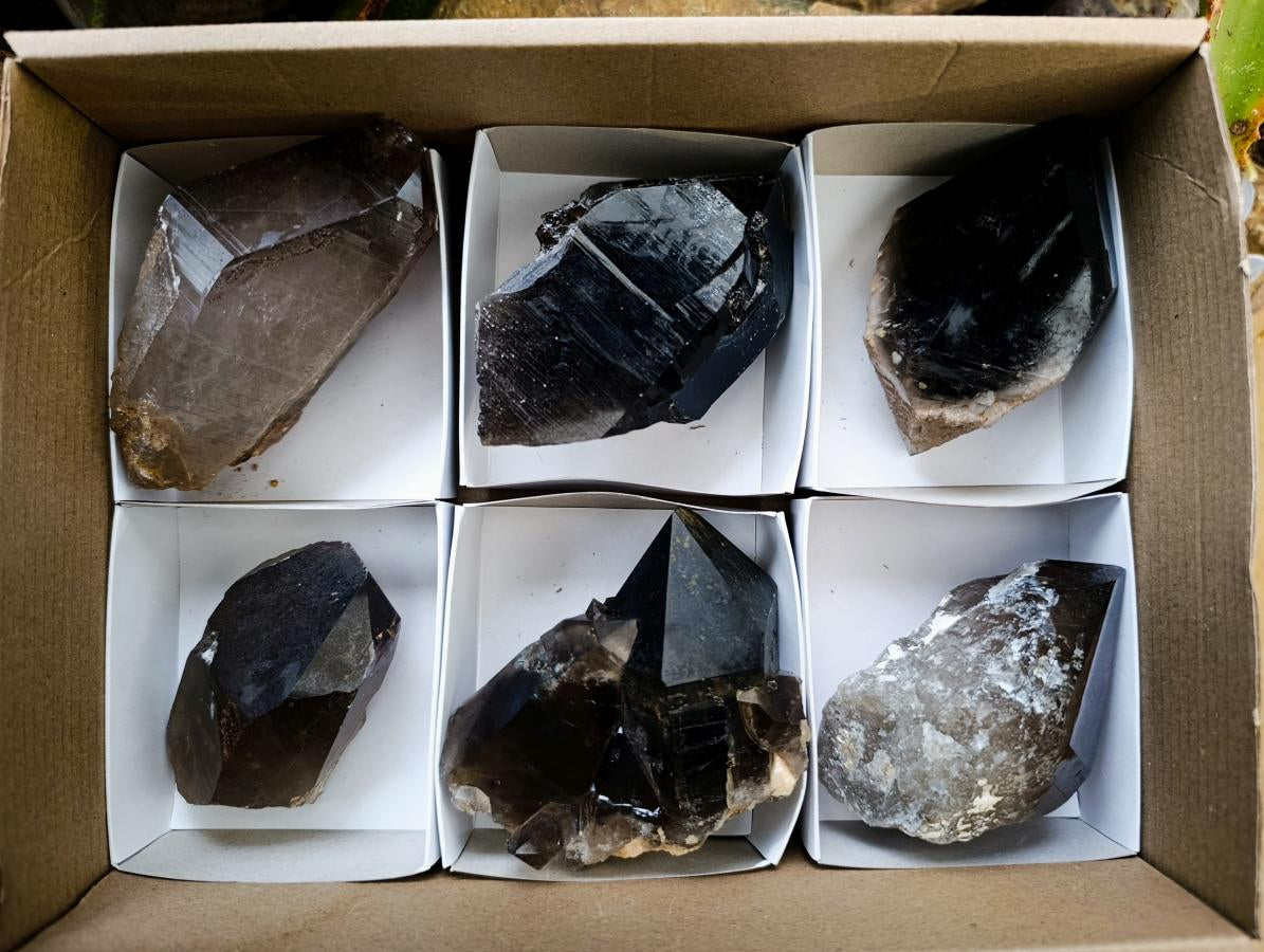Natural Smokey Quartz Crystals x 6 From Erongo, Namibia - Toprock Gemstones and Minerals 
