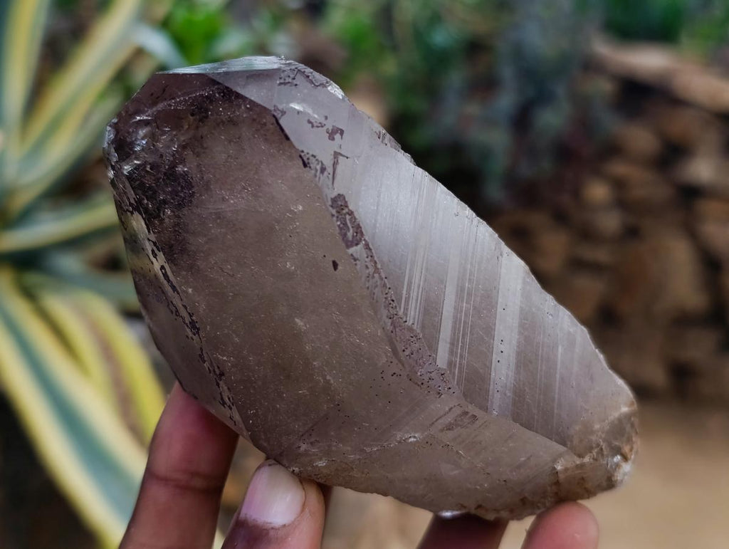 Natural Smokey Quartz Crystals x 6 From Erongo, Namibia - Toprock Gemstones and Minerals 