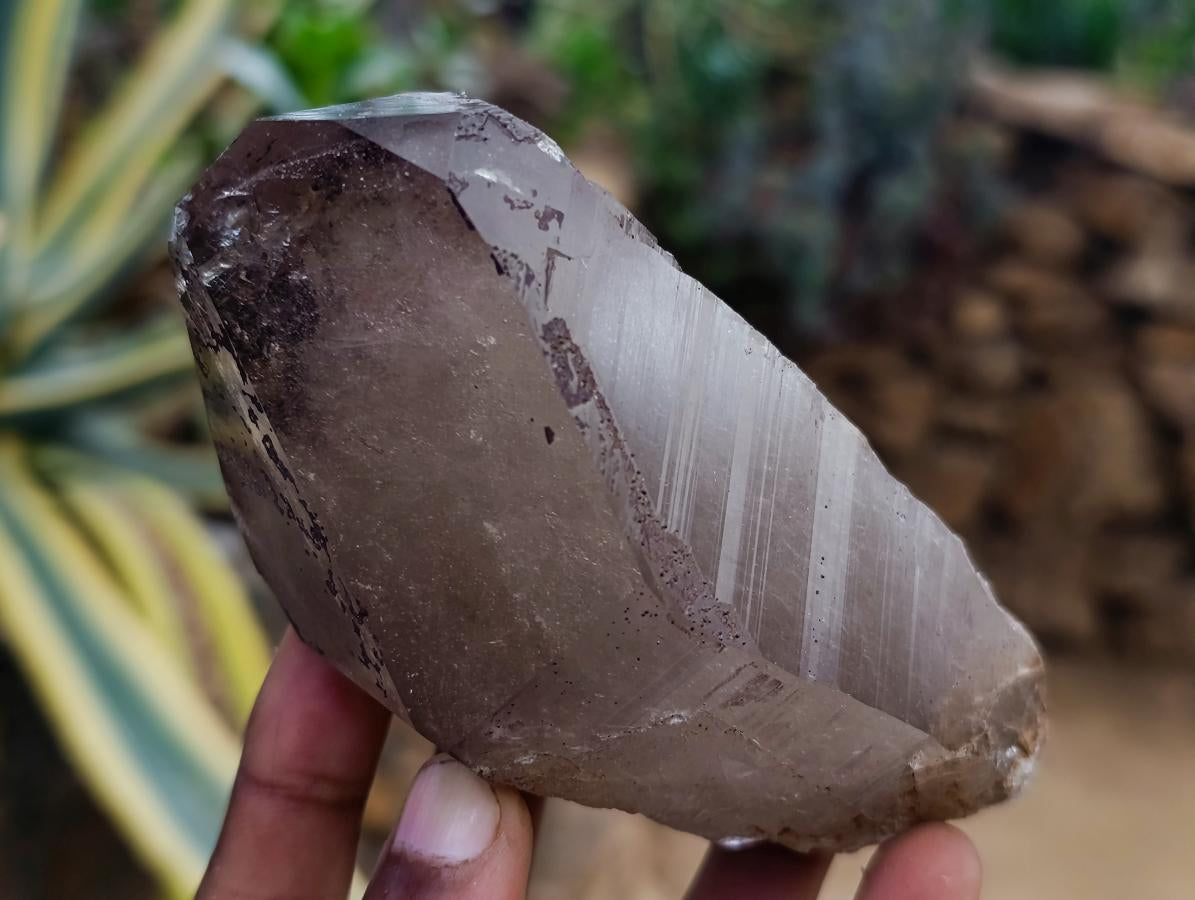 Natural Smokey Quartz Crystals x 6 From Erongo, Namibia - Toprock Gemstones and Minerals 