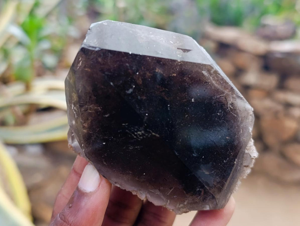 Natural Smokey Quartz Crystals x 6 From Erongo, Namibia - Toprock Gemstones and Minerals 
