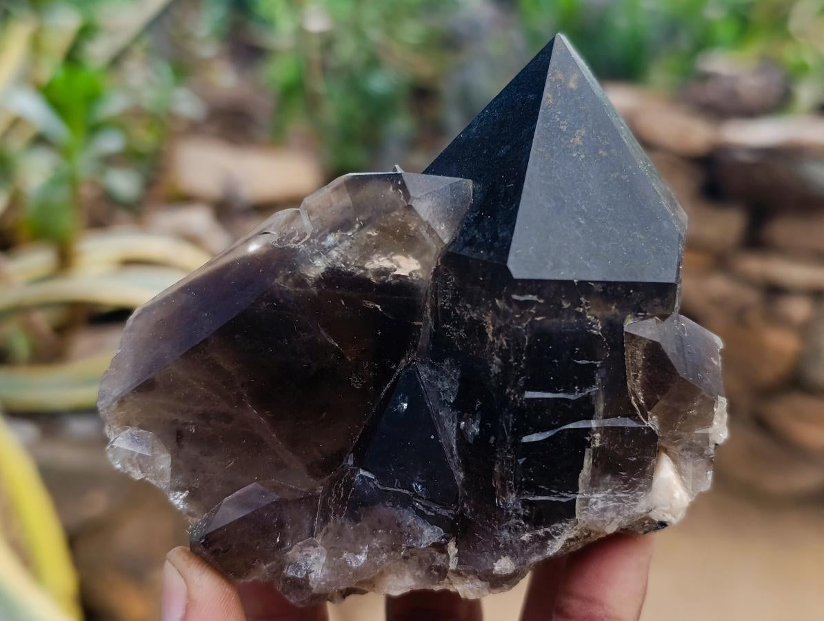Natural Smokey Quartz Crystals x 6 From Erongo, Namibia - Toprock Gemstones and Minerals 