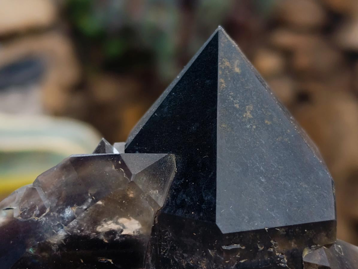 Natural Smokey Quartz Crystals x 6 From Erongo, Namibia - Toprock Gemstones and Minerals 