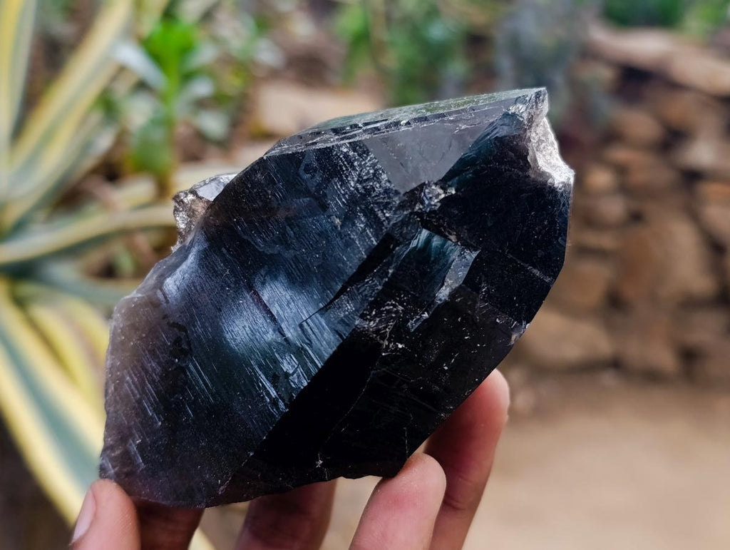 Natural Smokey Quartz Crystals x 6 From Erongo, Namibia - Toprock Gemstones and Minerals 
