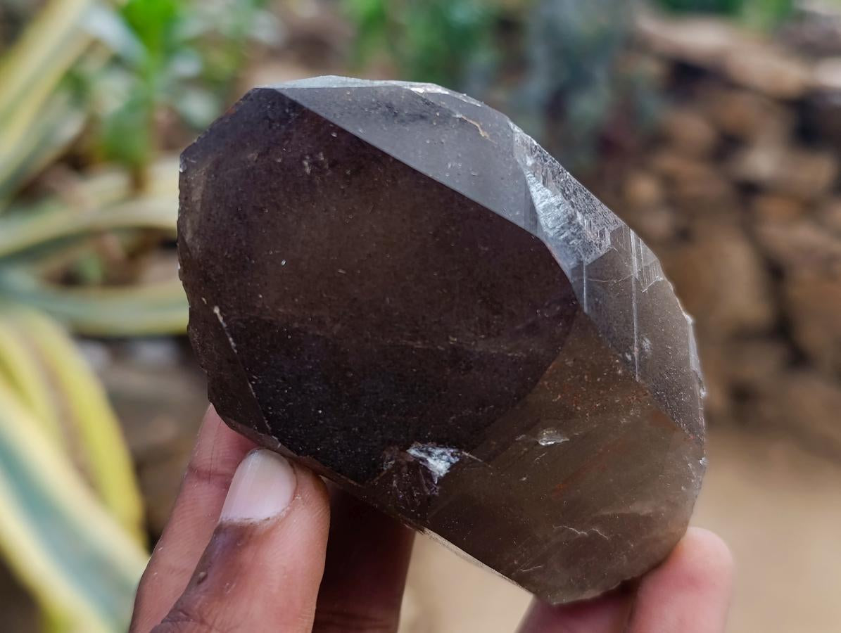 Natural Smokey Quartz Crystals x 6 From Erongo, Namibia - Toprock Gemstones and Minerals 